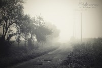 /album/svet-kolem-nas/img-59341-jpg/