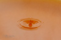/album/svet-kolem-nas/img-0139-jpg/